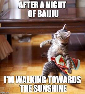 1F398A03-8D16-4D3A-A799-008D4AC3F410