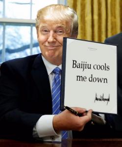 WhatsApp20Image202017-06-2220at202.04.2420PM